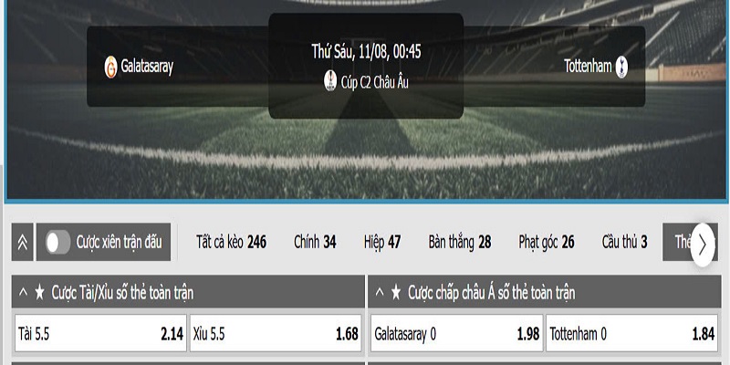 Bảng tỷ lệ cược minh họa chi tiết cho một trận đấu