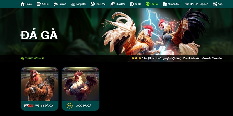 Tổng quan về bộ môn đá gà tại nhà cái