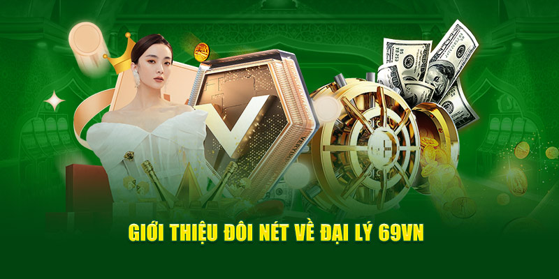 Giới thiệu đôi nét về đại lý 69VN
