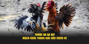 thuốc đá gà bịp 69vn