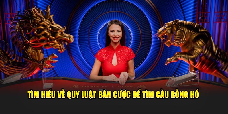 Tìm hiểu về quy luật bàn cược để tìm cầu rồng hổ 