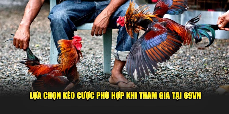 Lựa chọn kèo cược phù hợp khi tham gia tại 69VN 